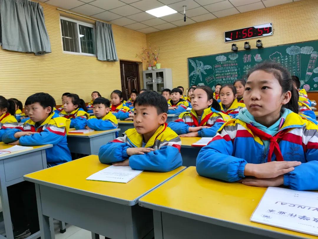 县林业局植树节活动,市林业局植树节工作方案