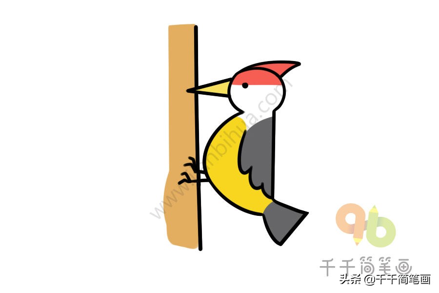 动物园里的动物简笔画简单又好看,各个国家的国宝动物小学生简笔画