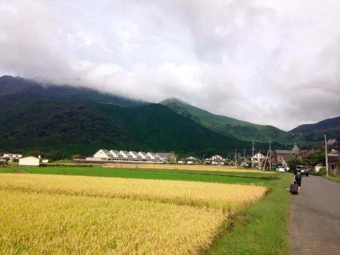 柬埔寨七日游报价,去柬埔寨旅游自由行行程