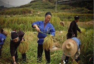 控释肥的施用方法,控释肥的最佳配方
