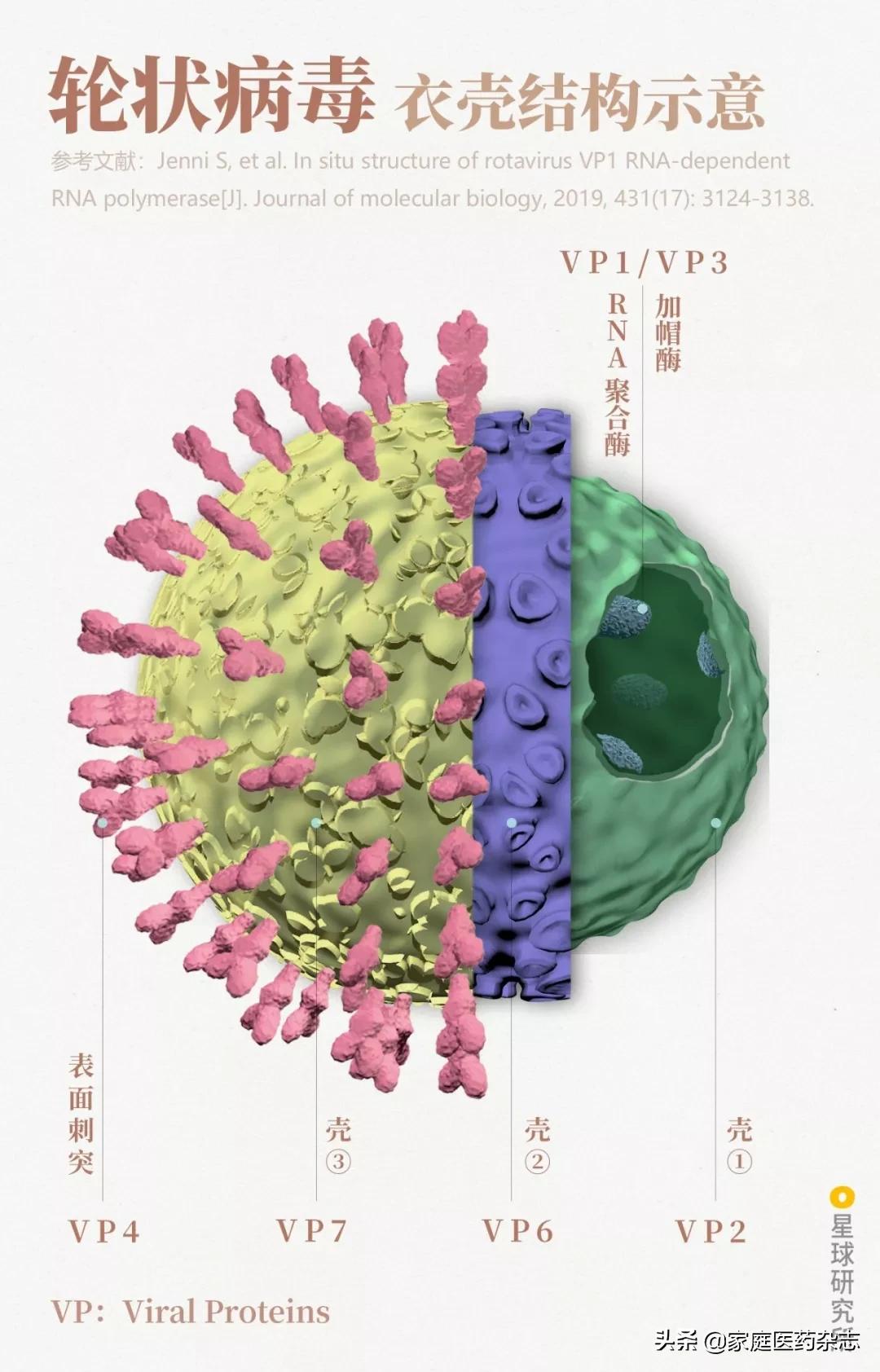 鍋囧鐥呮瘨鎰熸煋浜嗘垜,鍋囧鐥呮瘨鎰熸煋浜嗕綘