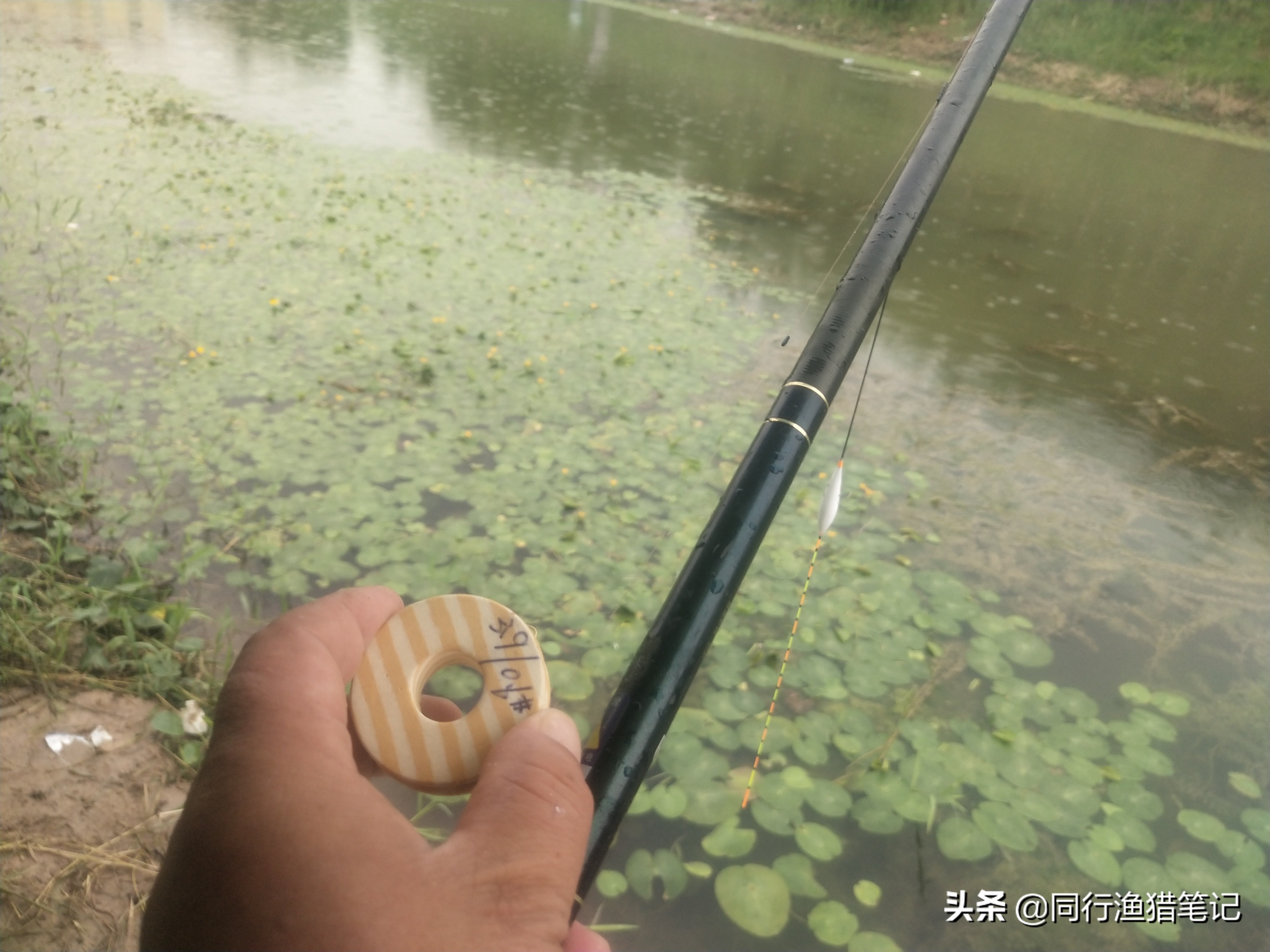 细线钓鱼有什么优势,野钓细线钓鱼技巧