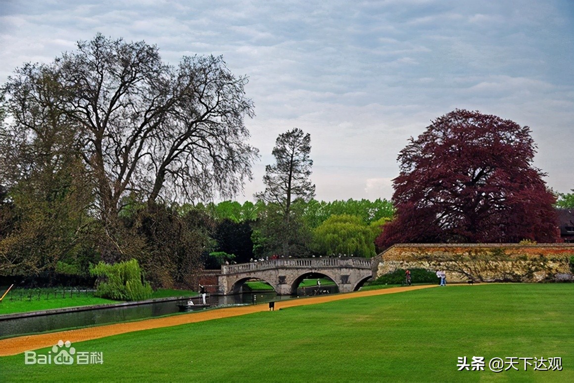 剑桥大学最强的学院,剑桥大学是世界顶尖大学吗