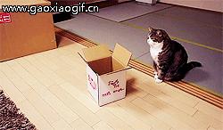 国足守门员喝水搞笑gif动图,守门员搞笑动图