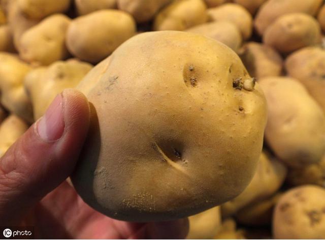 蟑螂怎么消灭蟑螂最怕什么,蟑螂怕什么怎样驱赶蟑螂最有效