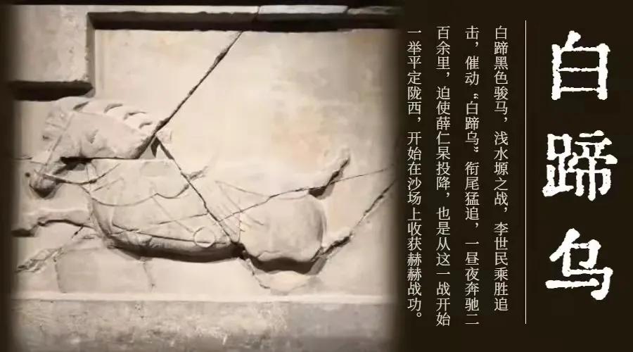 脑洞大开方言购物,脑洞大开的车有哪几种