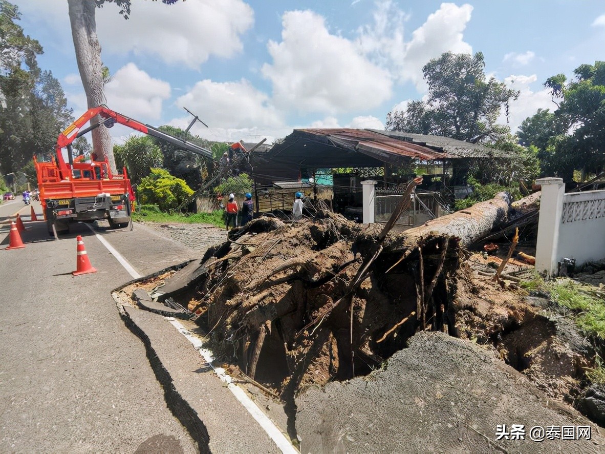 当街*战野**拍淫秽视频震怒神明？泰国情侣被逮捕