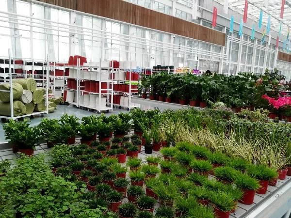 东丽区有发展吗,天津东丽区为什么没发展