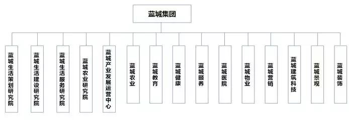 蓝城文旅集团董事长,蓝城集团地产公司简介