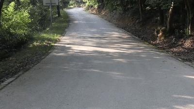 绿能电摩x6pro评测,台铃虎贲和绿能x6哪个好