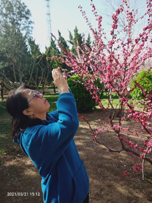 沙河美丽,沙河的天气