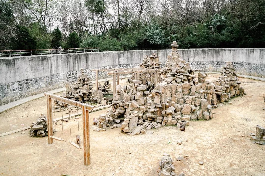 大厂真实生活现状,在大厂呆了3年的人