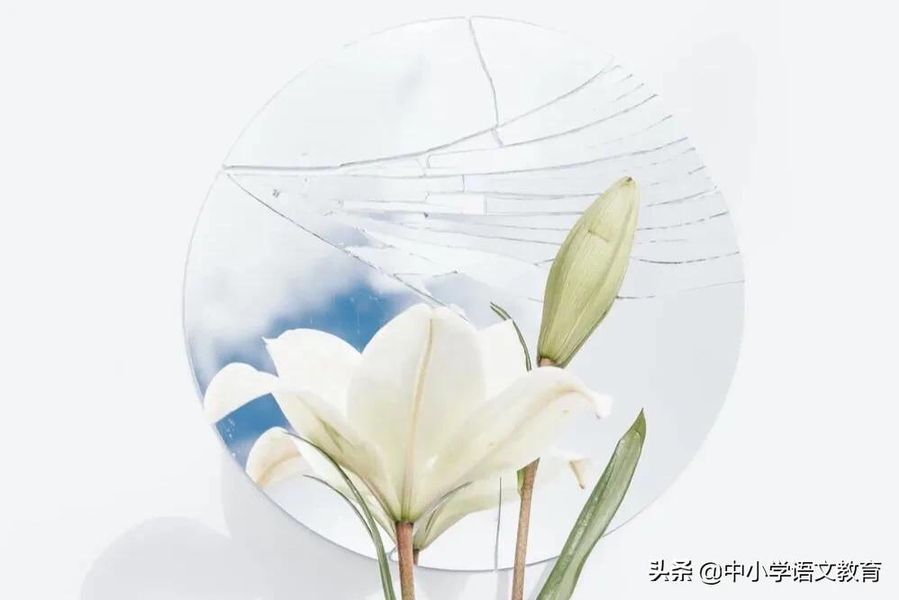 八年级语文期末复习字音字形,八年级语文期末总复习