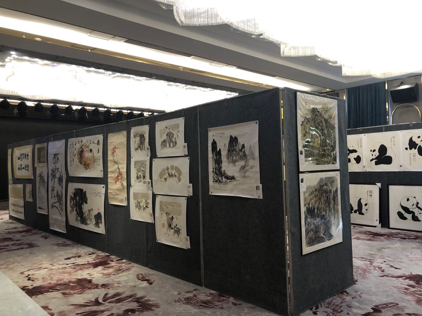 浩宏直播录像回放,浩宏最新消息