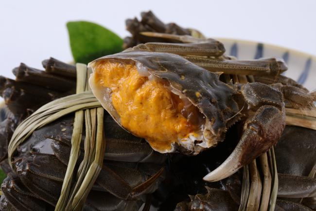 大闸蟹挑选小技巧和方法,大闸蟹怎么挑选最肥的