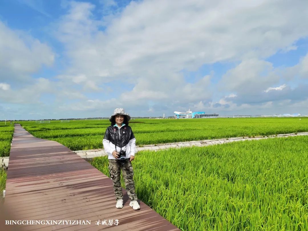 再返富锦，为着那份飘着稻花香的“湿”意约定