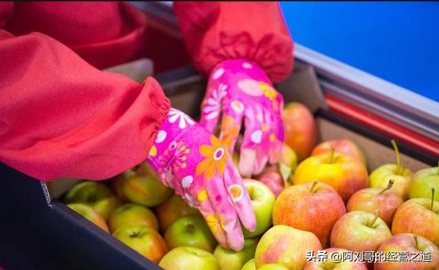 创业好项目课堂,赚钱快成本低的17种创业项目见效