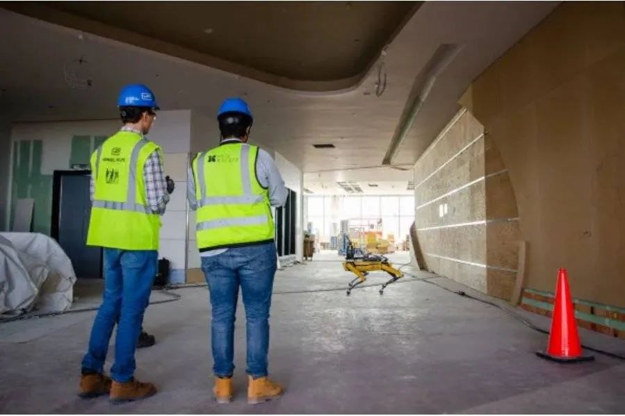 网红大黄狗狗,160万网红大黄狗