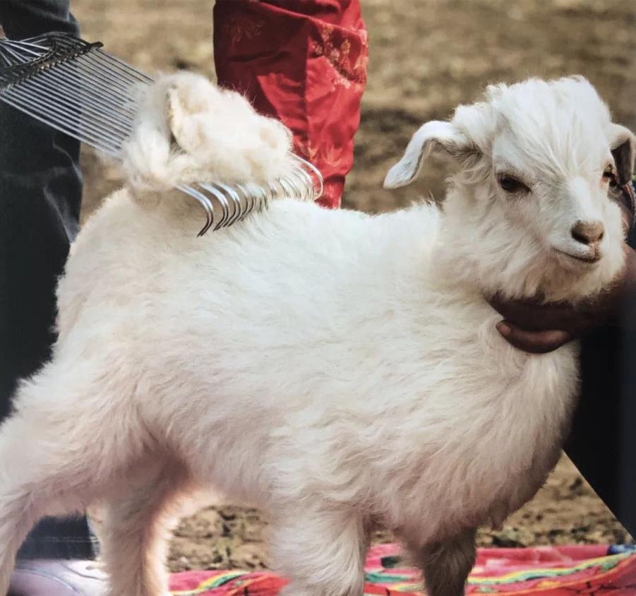 “穿着1万6的羊绒衫上班，老板夸我像章泽天”