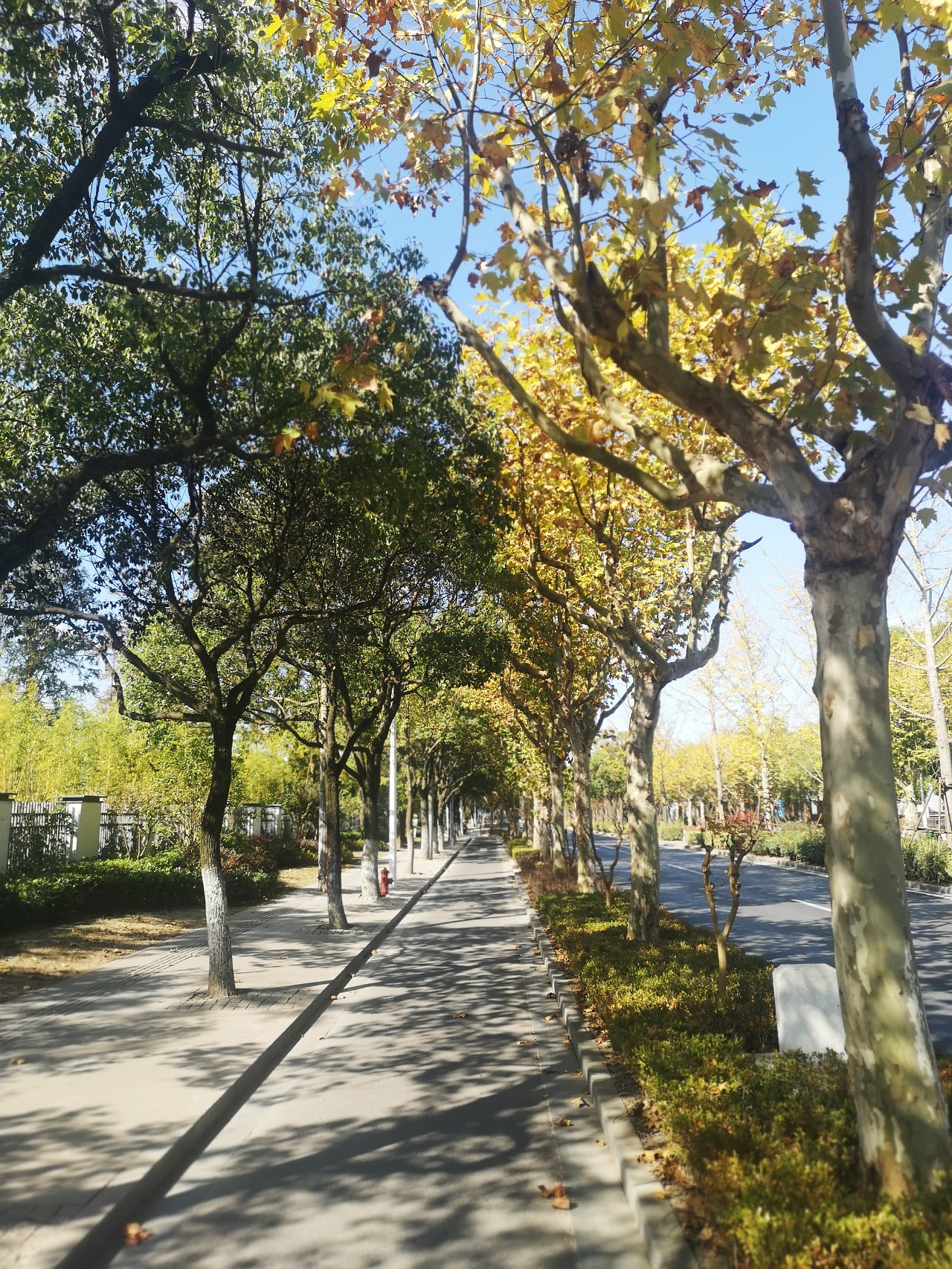 上海浦东唐镇金融家房价,浦东唐镇二手房价