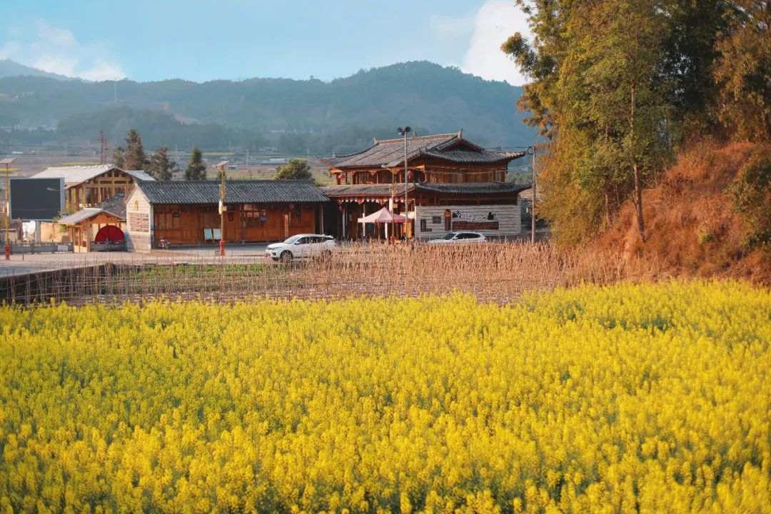 苏州去腾冲旅游攻略,苏州到腾冲旅行攻略