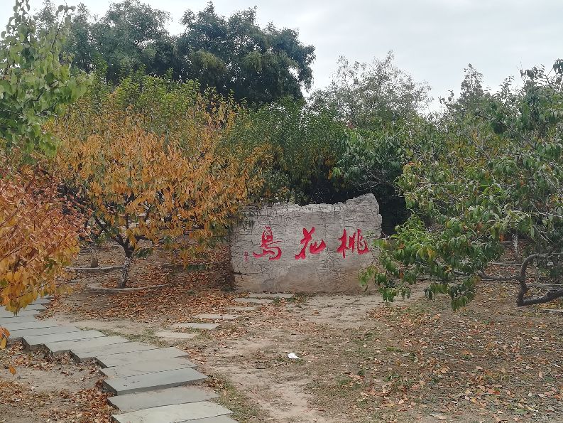 天津马场道玩的地方,天津遛娃好去处