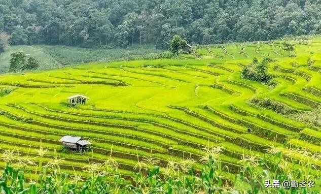 农业公司申请农业补贴找哪个部门,政策补贴农业项目怎么申请