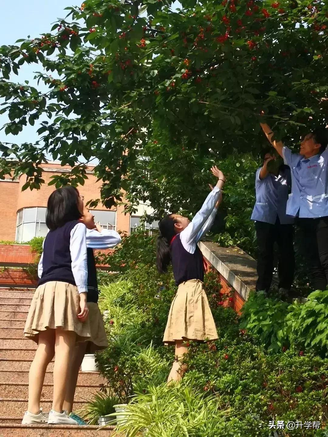 恩桃儿的视频,恩桃儿红了