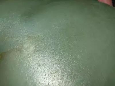 和田玉知识什么是水线,你知道和田玉的油性是怎么来的吗