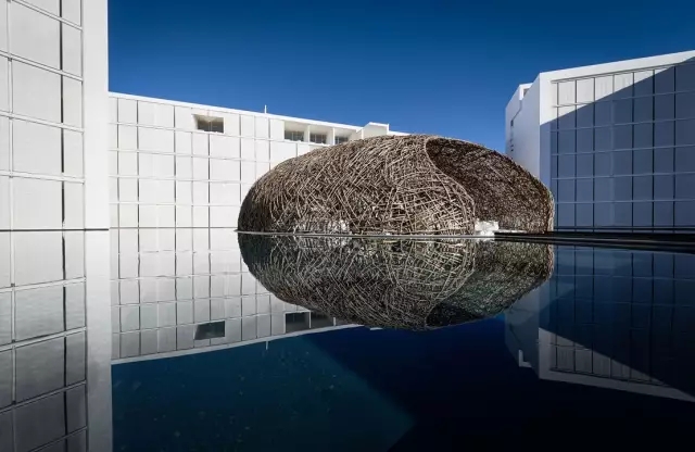 这家性冷淡的“情趣酒店”，开了灯后……嗨爆了