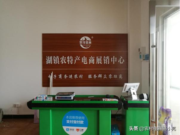 广东金巢电子商务股份公司发展历程和简介