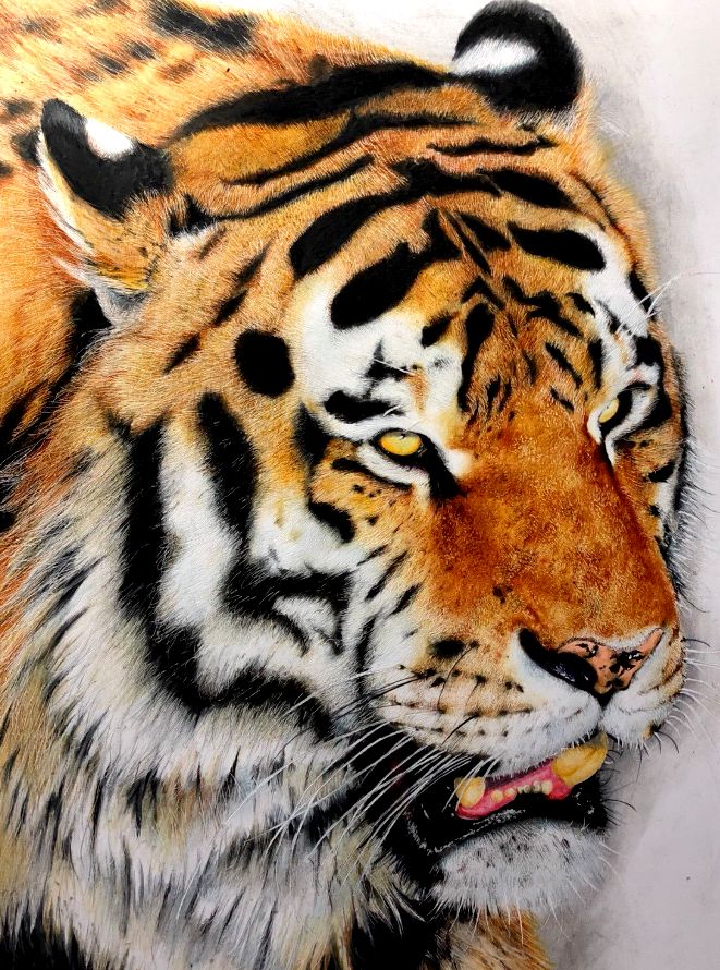 失明女孩铅笔画,手绘眼睛流泪铅笔画