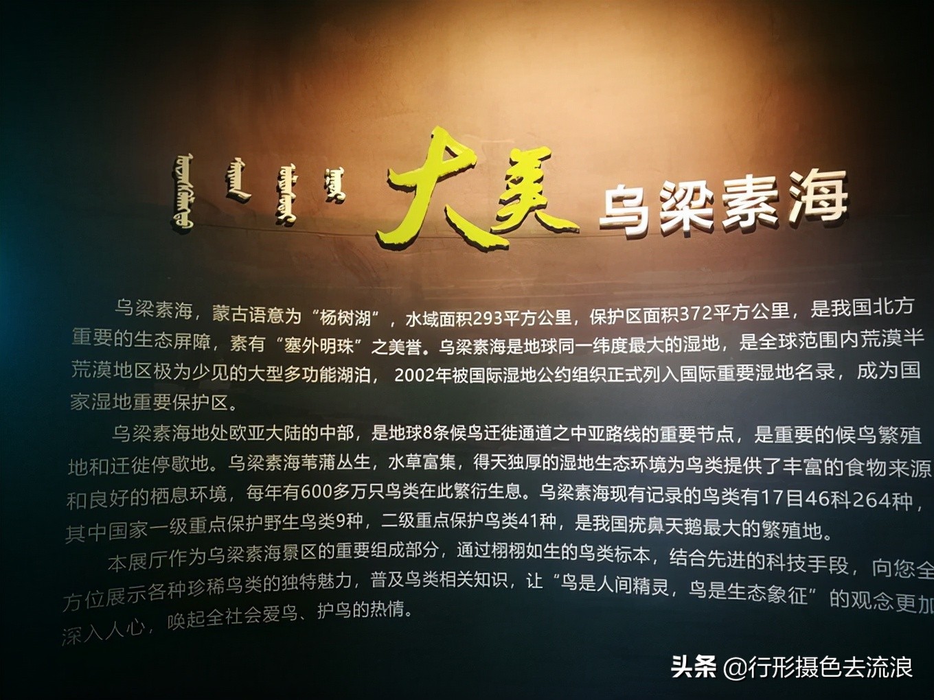 南北疆30天自驾深度游攻略,西行新疆