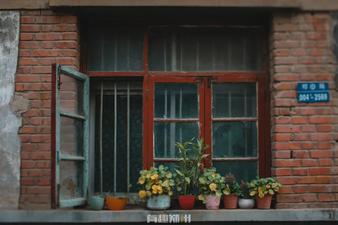 陇海高架下的普通小街，隐匿着几代铁路人的不平凡人生