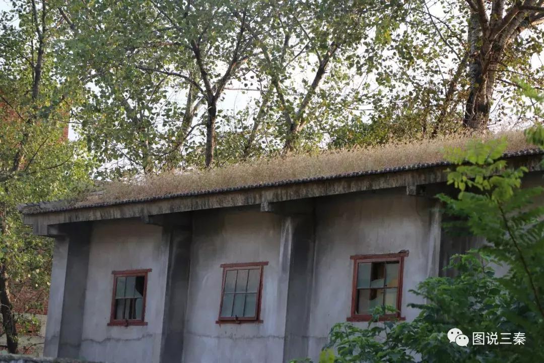 曾经人头攒动的“汤峪粮站”一个承载了汤峪几代人记忆的地方