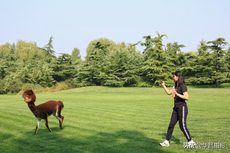 北京紫玉山庄简介,北京紫玉山庄公园