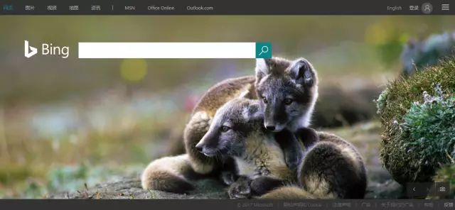 外贸推广社交平台,外贸人免费获客渠道