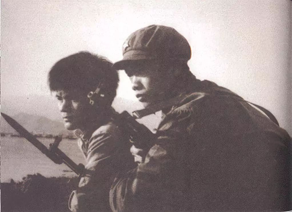 外网看深圳40年的变迁史,深圳特区40年光明变迁记