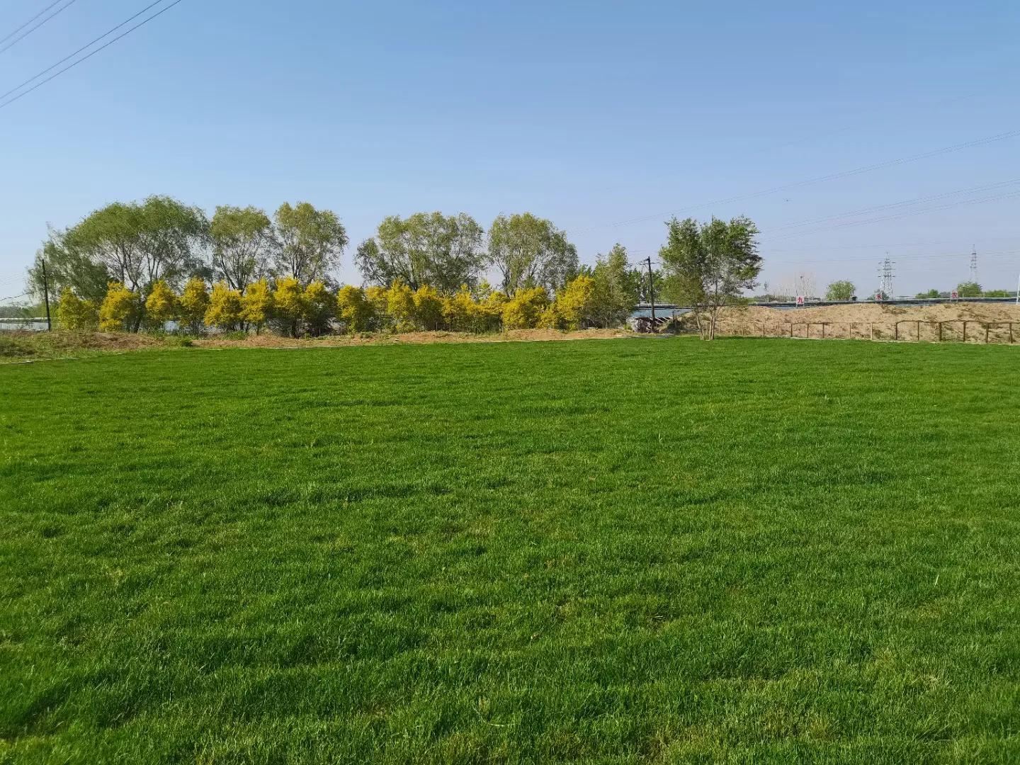 蹇靛垵鏃跺厜鍐滃満鐢佃瘽,蹇靛垵鏃跺厜浜插瓙鍐滃満
