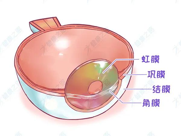 眼白变黄会癌变吗,眼白充血要警惕四种疾病