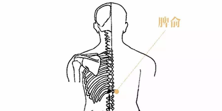 溃疡性结肠炎可以艾灸腹部吗,艾灸治疗溃疡性结肠炎效果好吗
