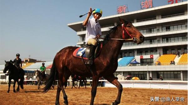 东方夏威夷国际旅游度假区,养马岛后海东方夏威夷