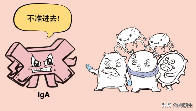 肠道菌群紊乱怎么改善和调理,肠道菌群紊乱如何快速调理