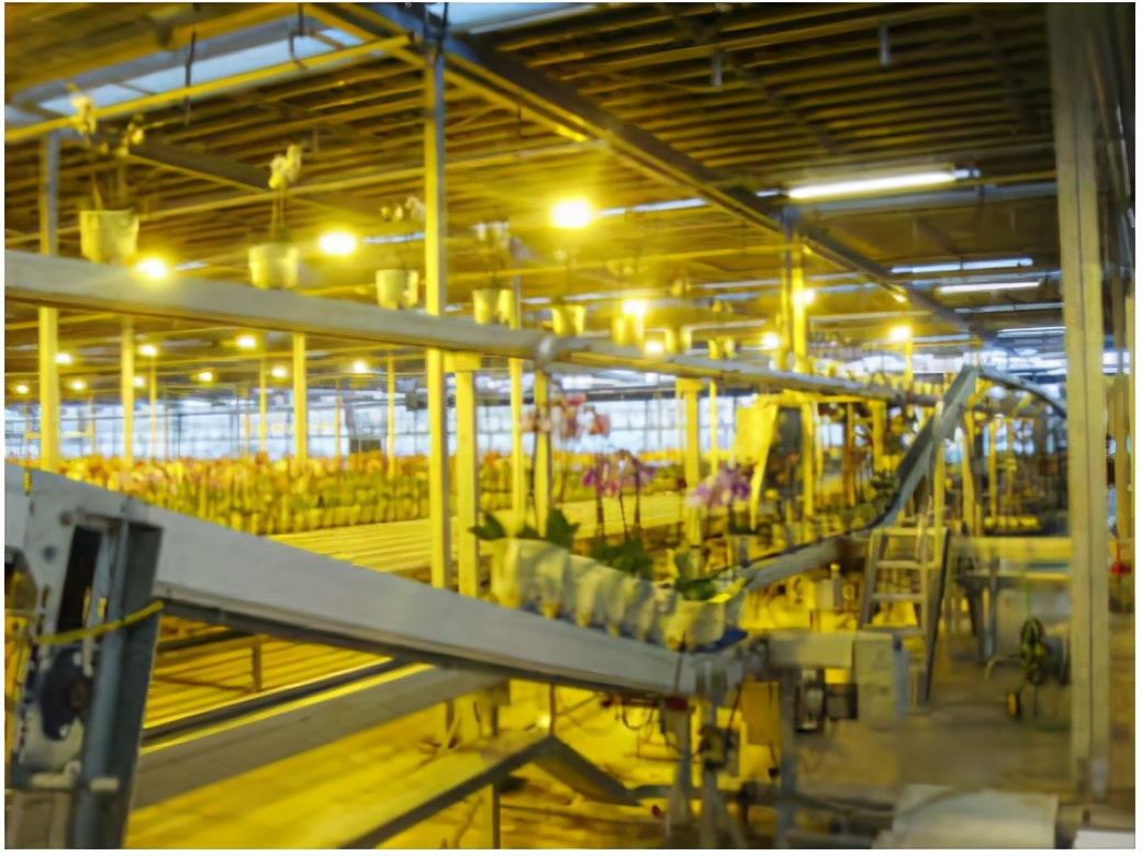 荷兰为什么不多生产光刻机,荷兰垄断光刻机多少年