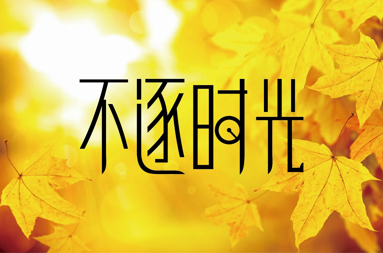 不吹不黑，最中肯的手机购买指南