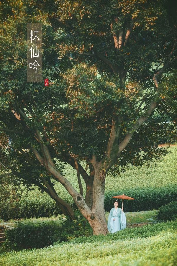 24个杭州古风拍摄地，随便一按都是张武侠大片！