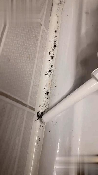 入住六年了来盘点我家的厨房好物,入住3年厨房依然保持整洁的秘密