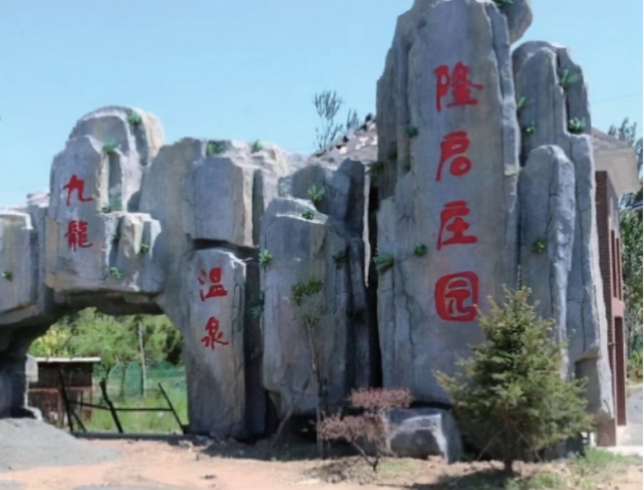 追寻最绚丽的“红”|“大美浑南漫生活之旅”