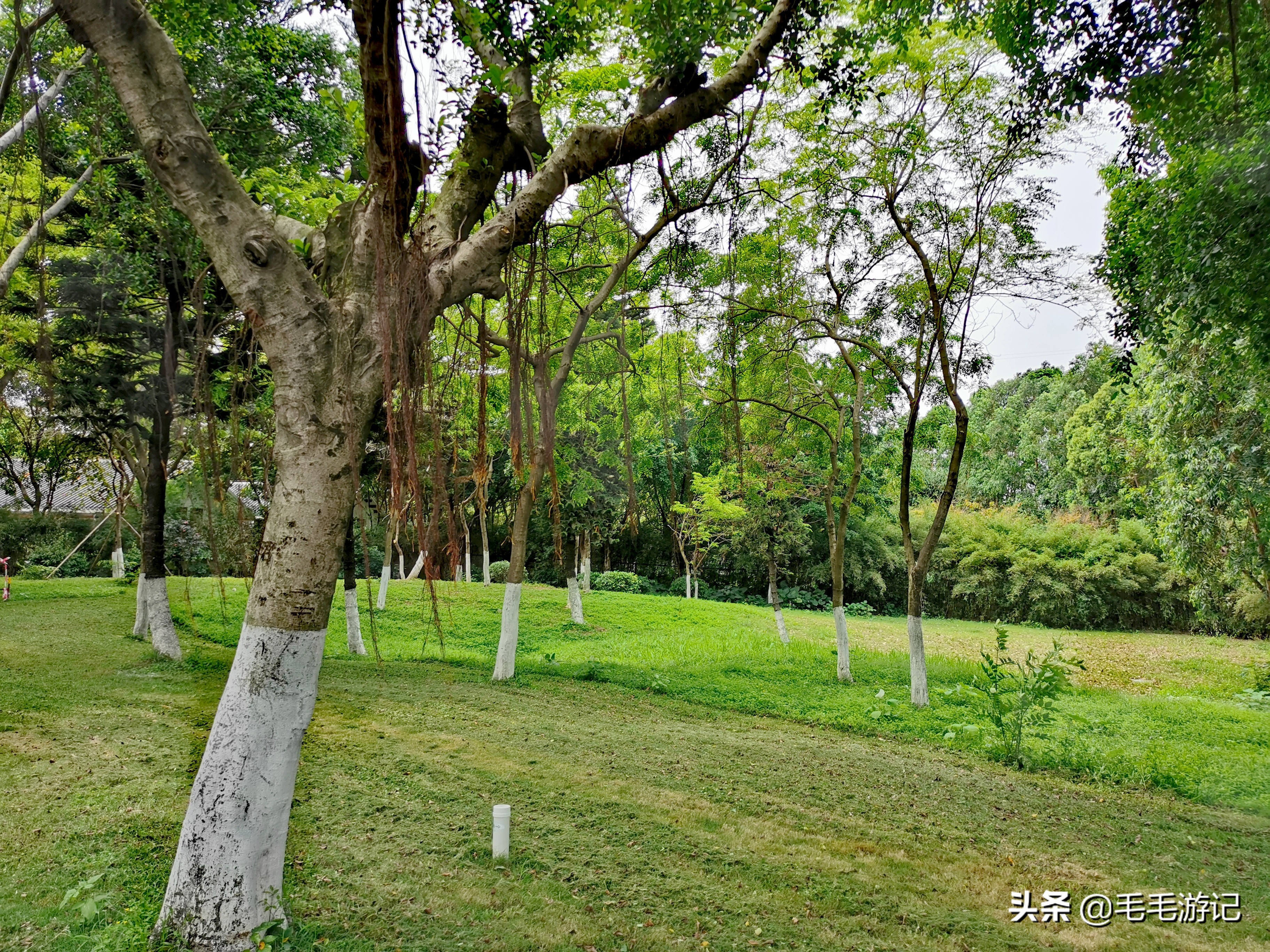 户外散步海珠湖,户外徒步广州