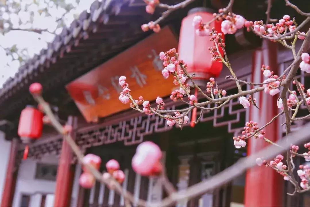 狂飙18级,狂飙18集公路飙车片段在哪